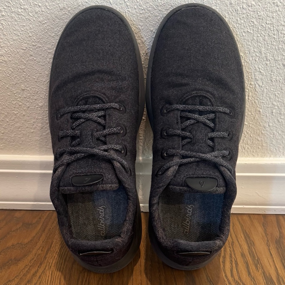 Allbirds Men's Wool Mizzle Shoes